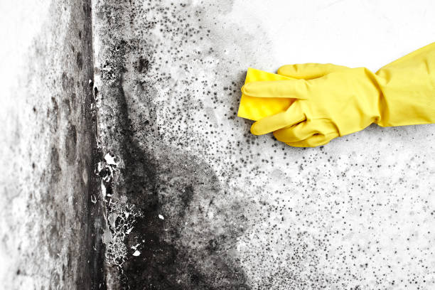 Water Damage Restoration in Hemphill, TX