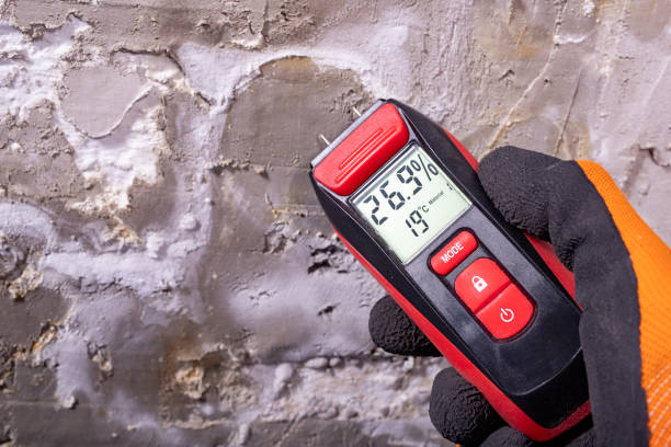 Best Mold Remediation  in Hemphill, TX