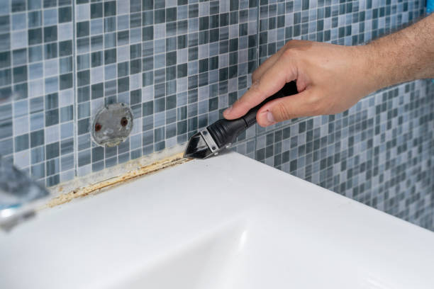 Best Mold Damage Repair  in Hemphill, TX