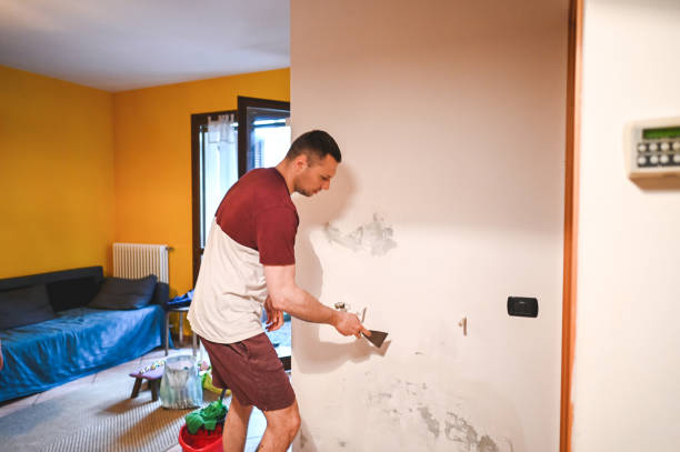 Reliable Hemphill, TX Mold Removal Solutions